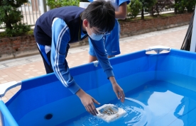 多元多FUN活動 — P.6 海洋探險家 2025.4.7-4.9